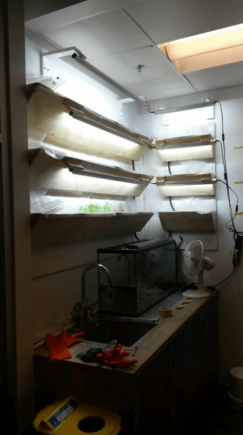 Capture d’écran 2017-08-11 à 14.04.49